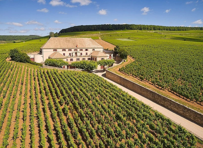 Historic Burgundy winery building amid vineyards, Maison Louis Latour