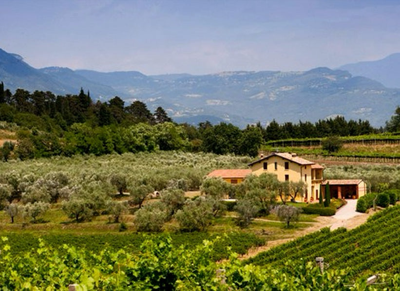Hillside vineyards and countryside estate landscape for Miani in Friuli, Italy