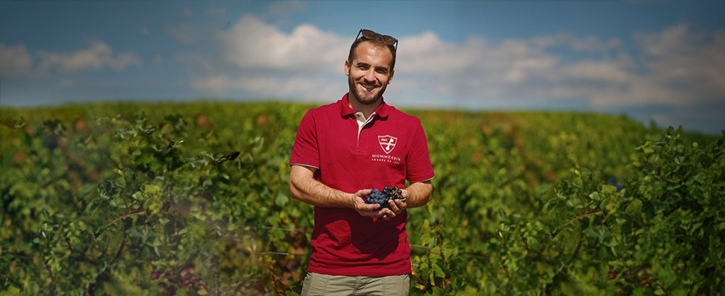Mommessin viniculteur Florent Georger in a Beaujolais vineyard — image courtesy of Mommessin