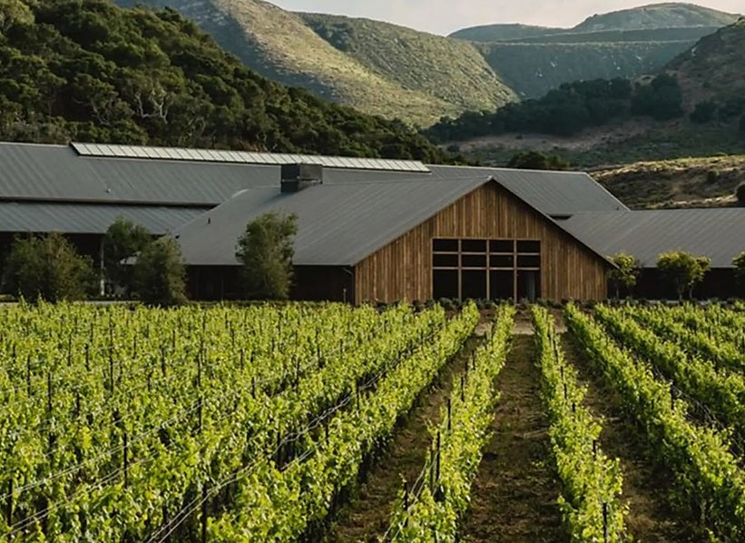 Vineyard rows leading to a winery in a hilly landscape
