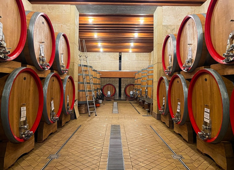Traditional winery cellar with large wooden casks and warm lighting, featured for Paolo Bea