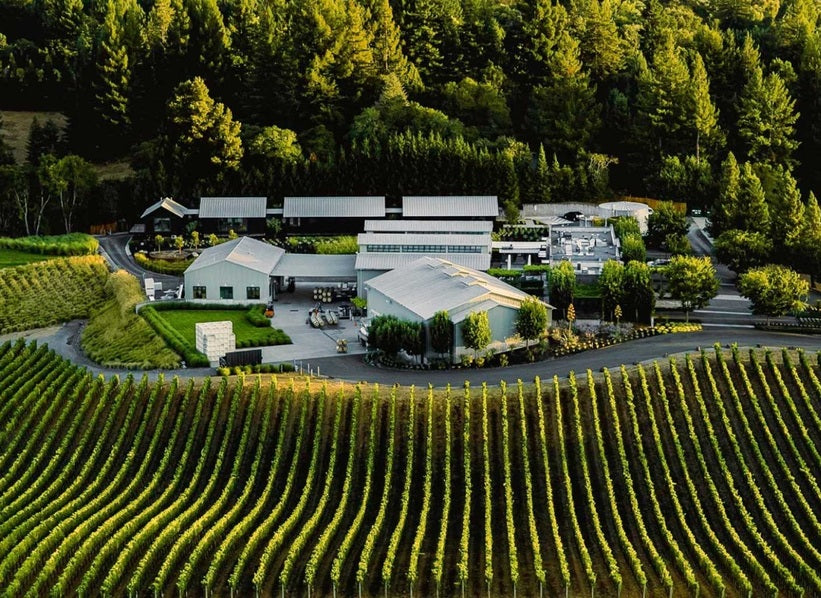Aerial vineyard and winery estate surrounded by trees, featured for Paul Hobbs