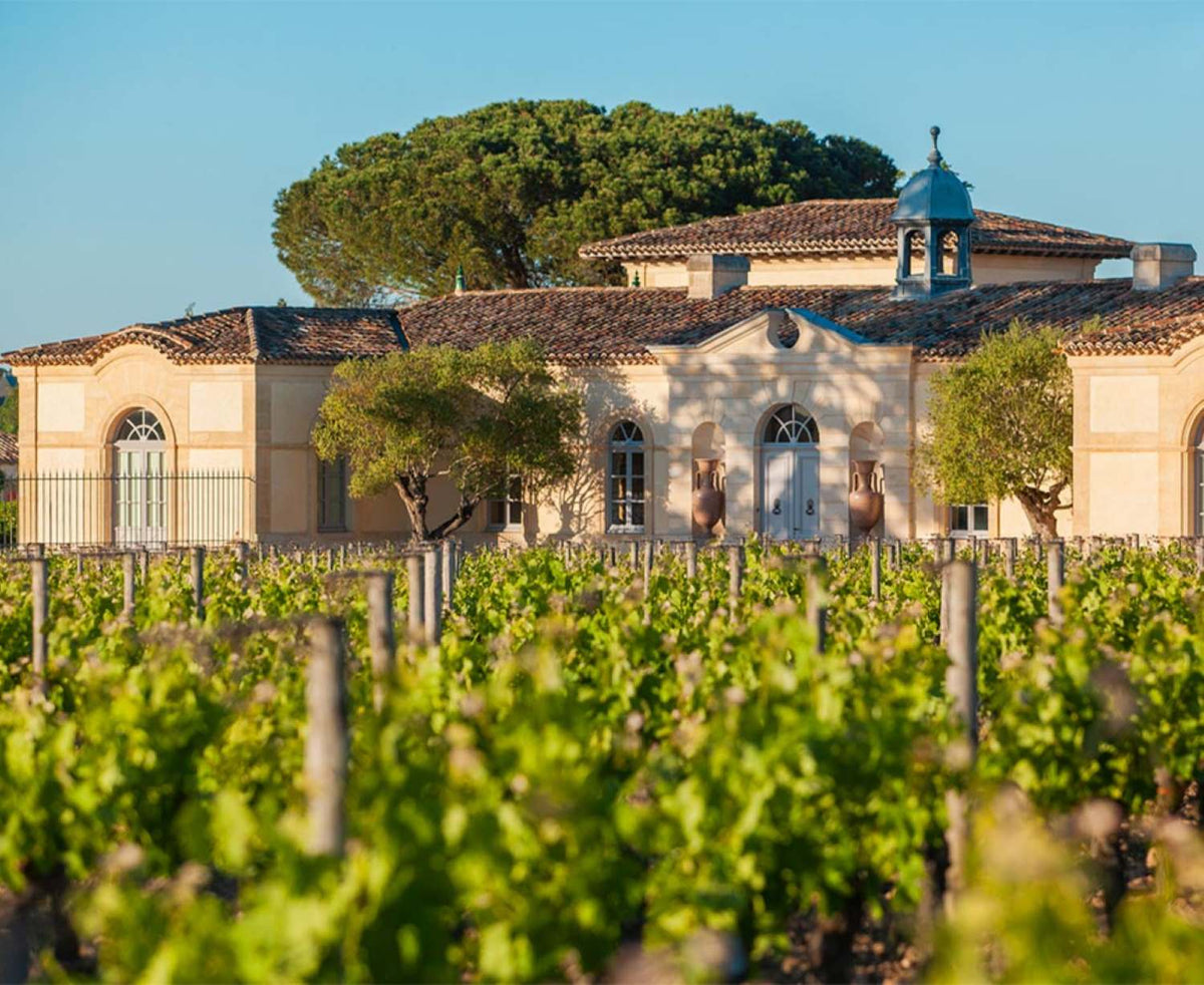 Petrus estate and vineyard in Pomerol, Bordeaux — exterior photograph via Angry Wine Merchant