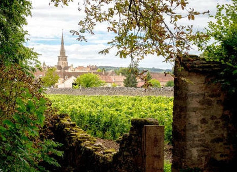 Village church steeple and vineyards framed by stone and foliage in Burgundy, featured for Pierre Boisson