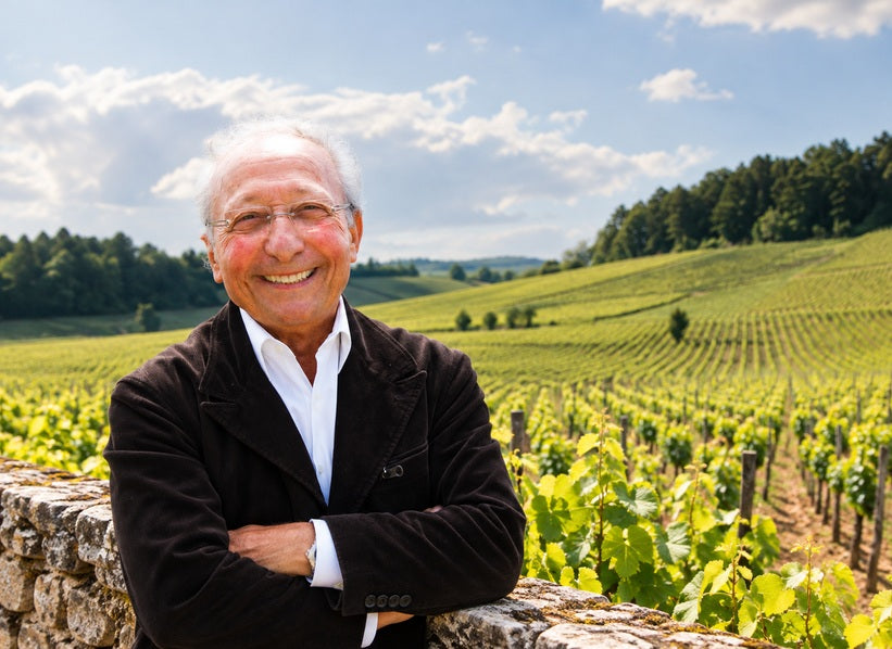 Illustrative vineyard portrait inspired by Pierre Maizière producer photographs