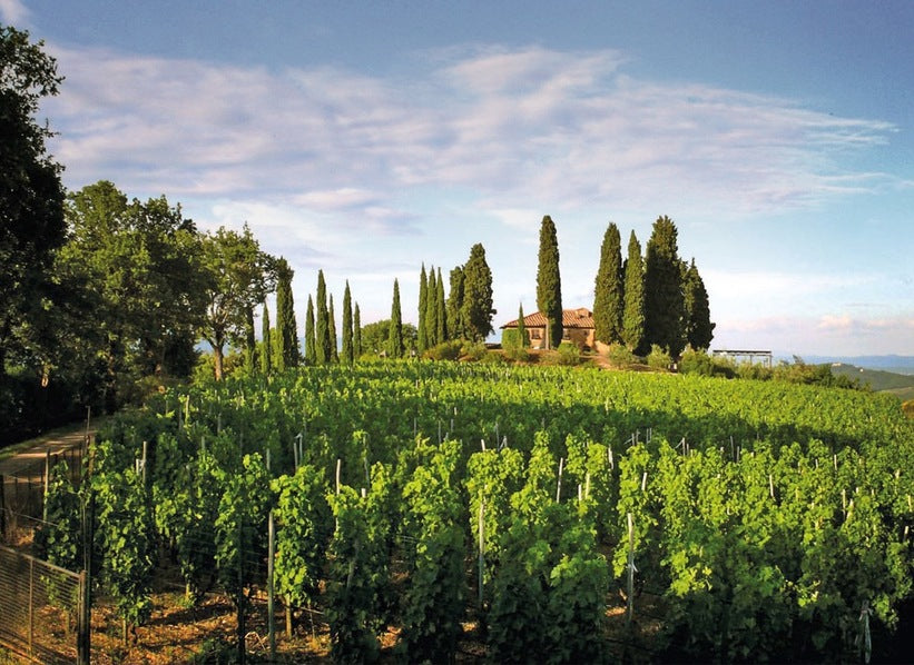 Tuscan hillside vineyard with cypress trees and a farmhouse, featured for Podere Il Carnasciale
