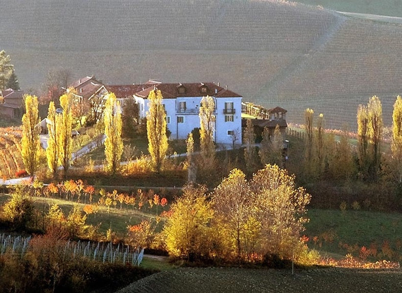 Autumn vineyard landscape with golden poplar trees and a farmhouse in Piedmont, featured for Poderi Luigi Einaudi