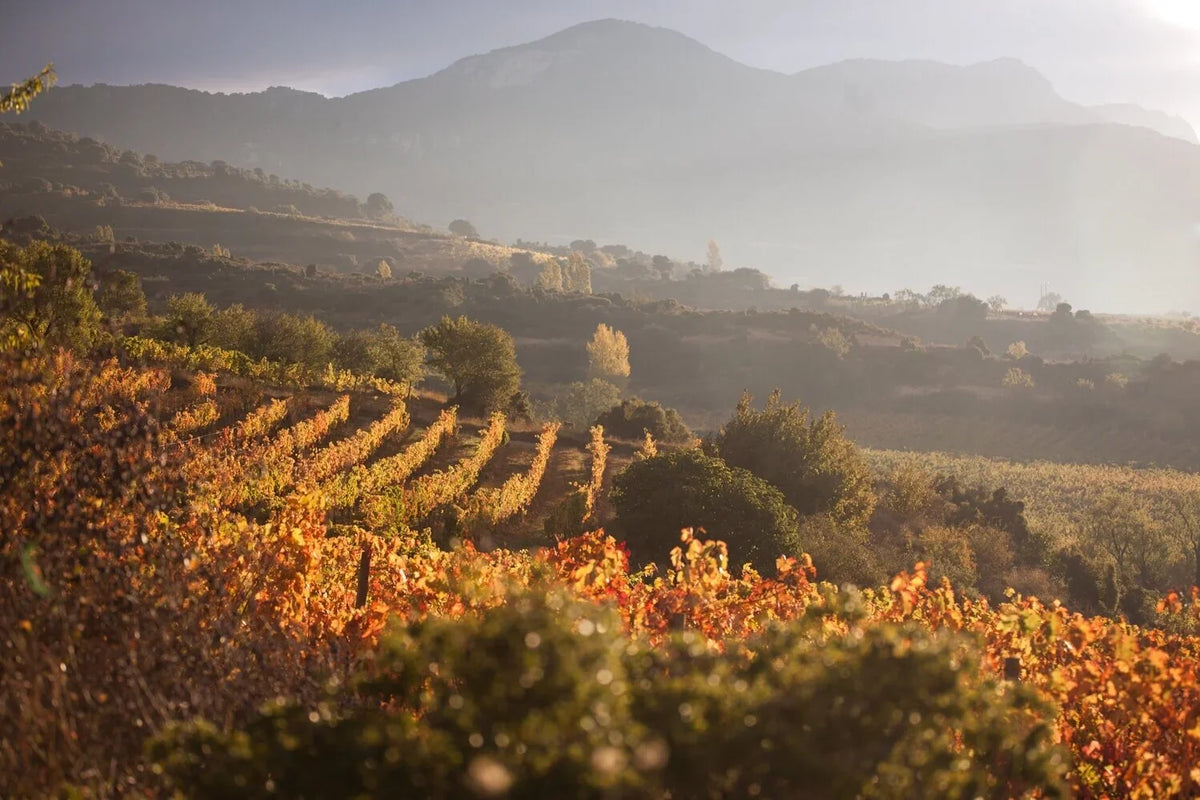 Remelluri estate vineyards in Rioja Alavesa, Spain
