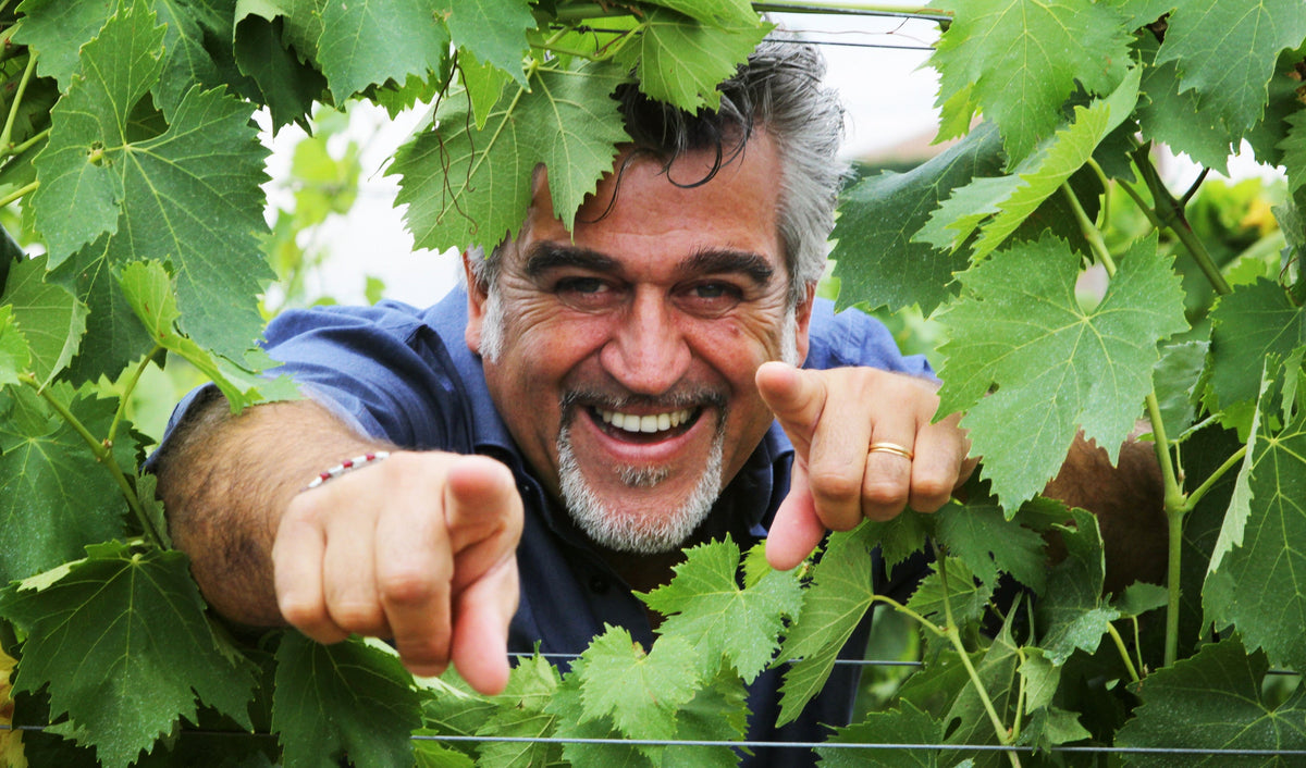Roberto Cipresso among grapevines
