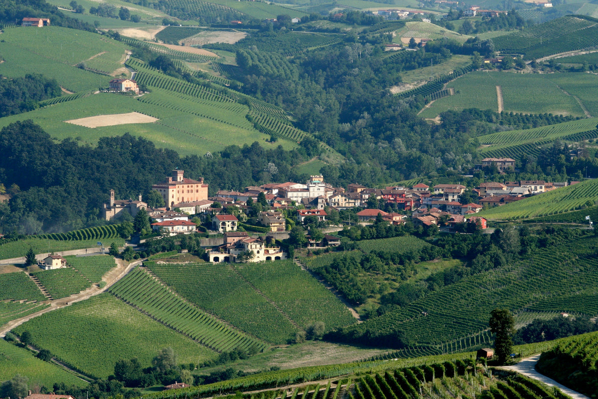 Barolo vineyards viewed from La Morra in Piedmont — photo by Megan Mallen, CC BY 2.0