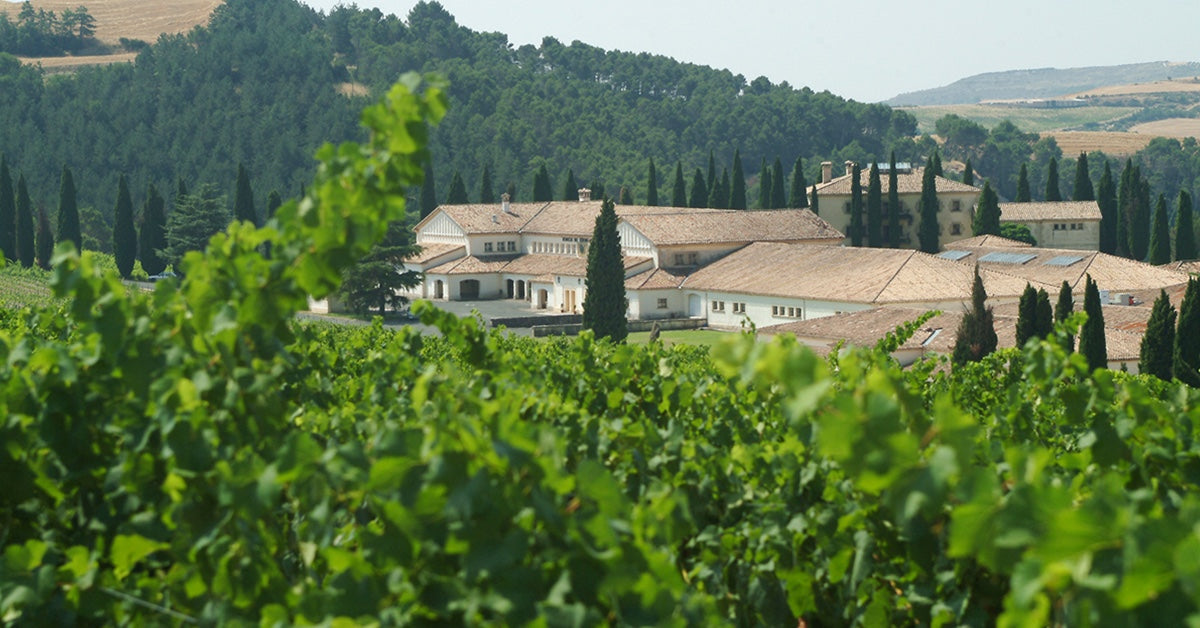 Señorío de Sarría estate and vineyards in Puente la Reina, Navarra, Spain