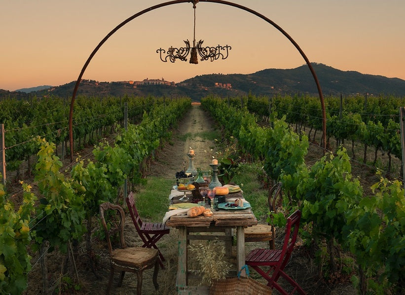 Sunset vineyard with a rustic dining table beneath an arch