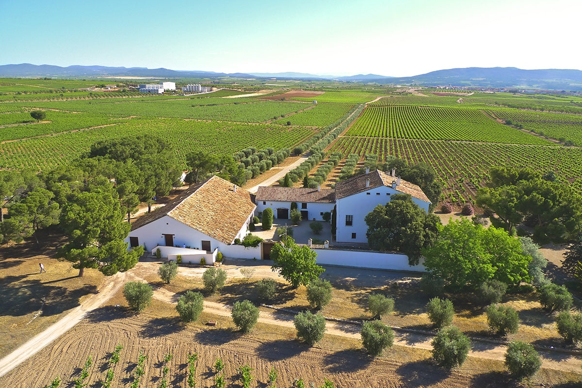 Aerial view of Finca Hoya de Cadenas and its vineyards, Bodegas Vicente Gandía, Utiel-Requena
