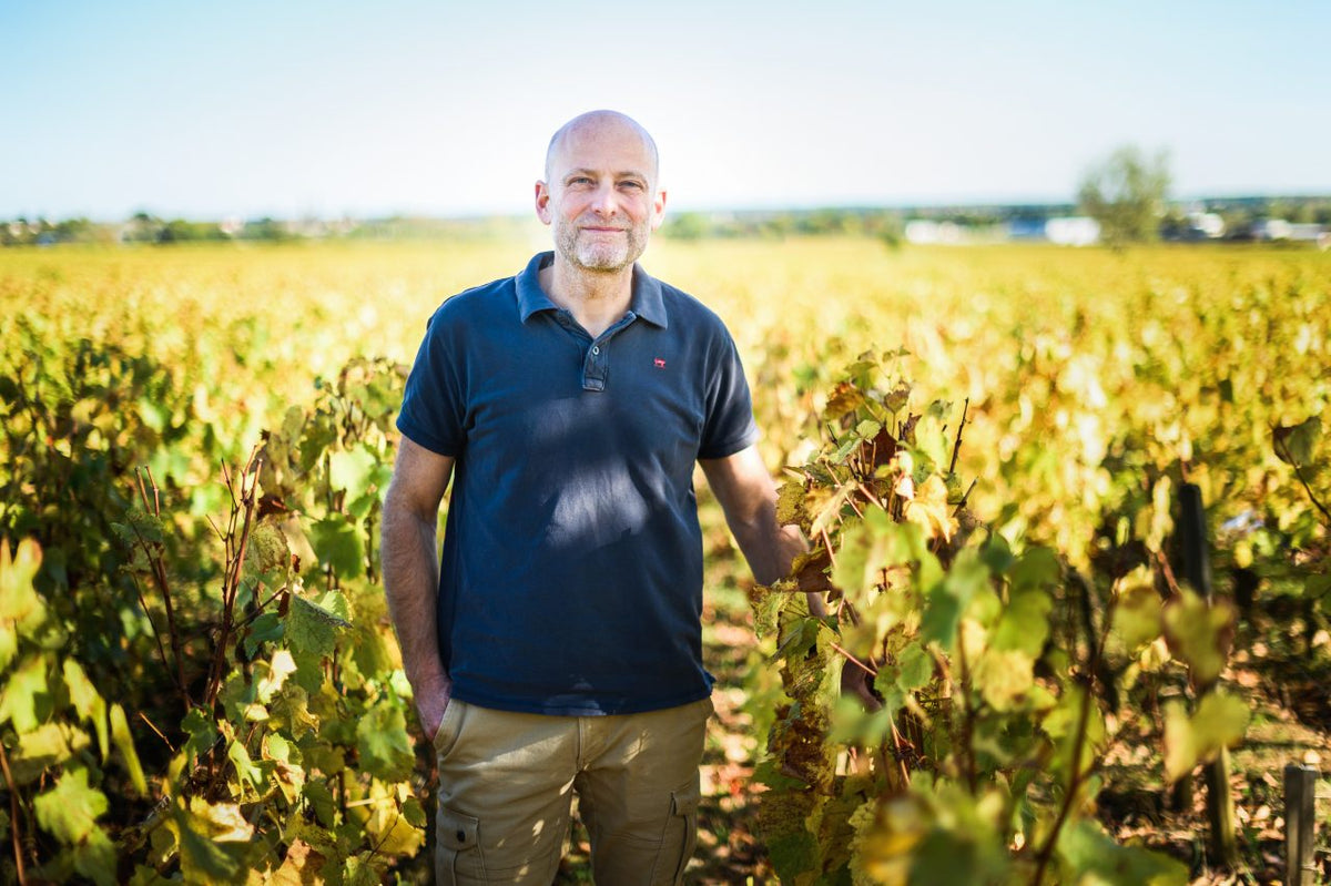 Vincent Dancer in the vineyards of Chassagne-Montrachet, Burgundy — image via Chassagne-Montrachet