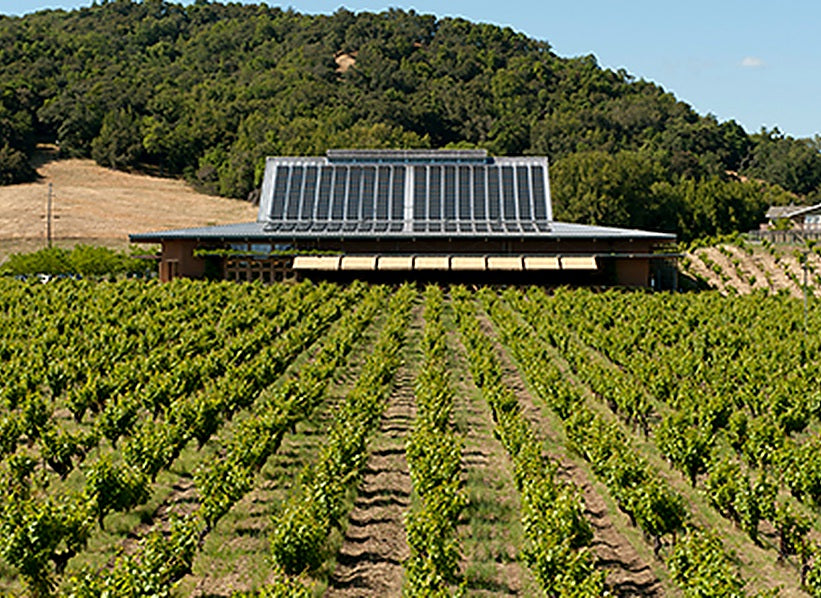 Vineyard rows leading toward a winery building and wooded hillside