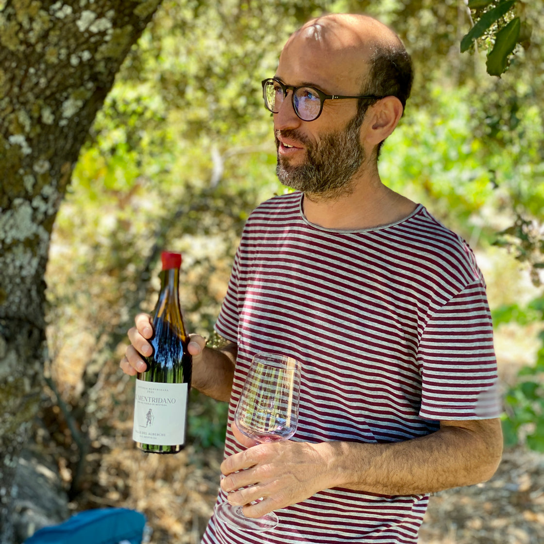 Vitícola Mentridana vineyards in the Sierra de Gredos, Spain