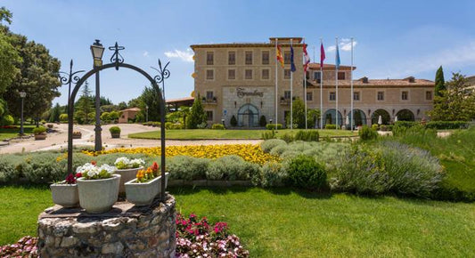 Torremilanos Experience: Château Stay, Barrel Tastings & Castilian Cuisine