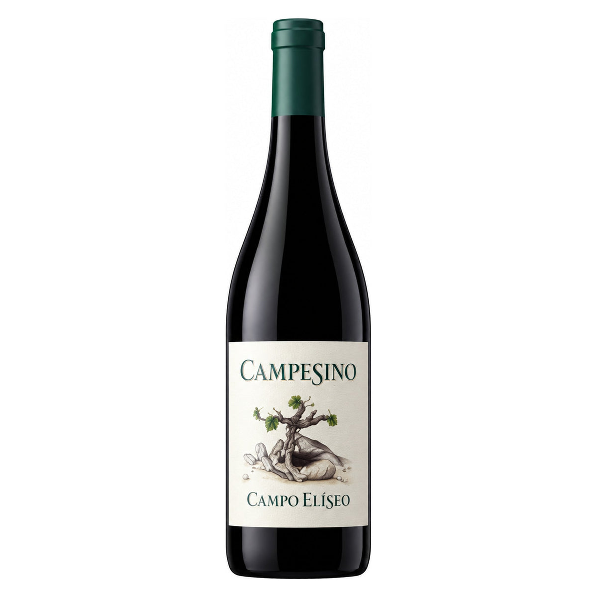 Bodegas Campo Elíseo – Campesino 2024 – Toro Spain