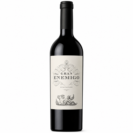 Bodega Aleanna – Gran Enemigo Gualtallary Single Vineyard Cabernet Franc 2019 – Uco Valley Argentina