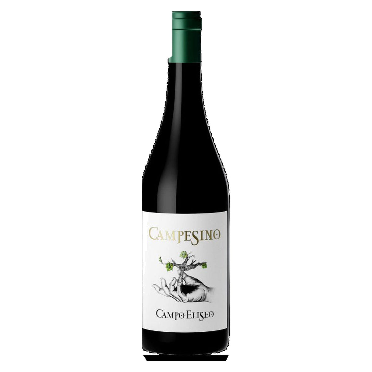 Bodegas Campo Elíseo – Campesino 2024 – Toro Spain