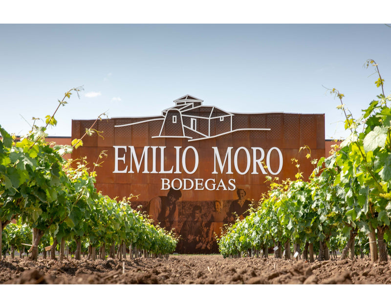 Bodegas Emilio Moro estate in Pesquera de Duero, Ribera del Duero, Spain
