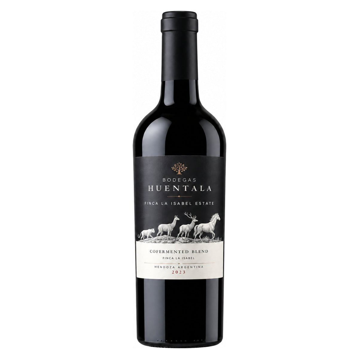 Huentala Wines – Finca La Isabel Cofermented Blend 2023 – Mendoza Argentina