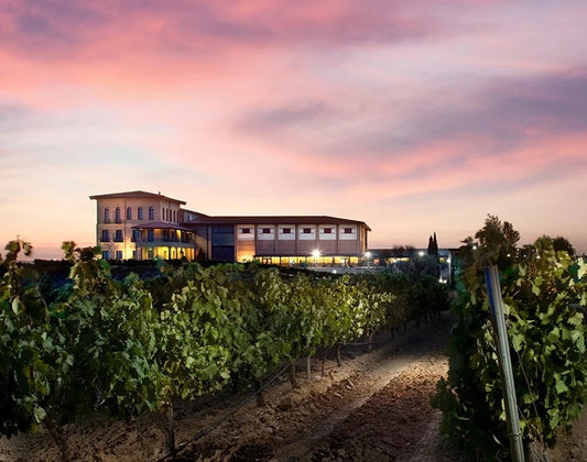 Bodegas Manzanos winery and vineyards in Rioja, Spain at sunset