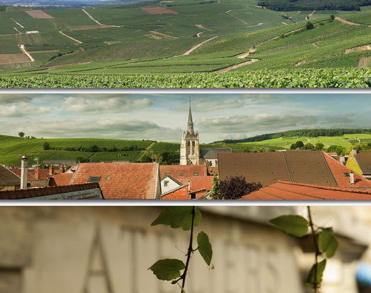 Champagne Brimoncourt house and estate in Aÿ-Champagne, France