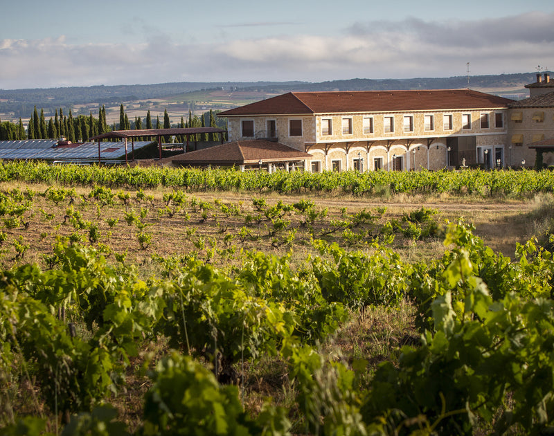 Finca Torremilanos hotel and vineyards in Aranda de Duero, Ribera del Duero, Spain