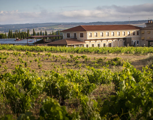 Finca Torremilanos hotel and vineyards in Aranda de Duero, Ribera del Duero, Spain