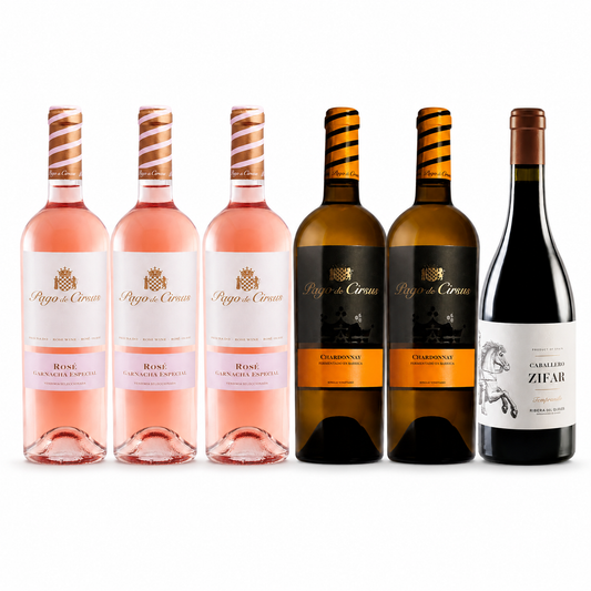 InBodega – The Spanish Summer Case – Spain