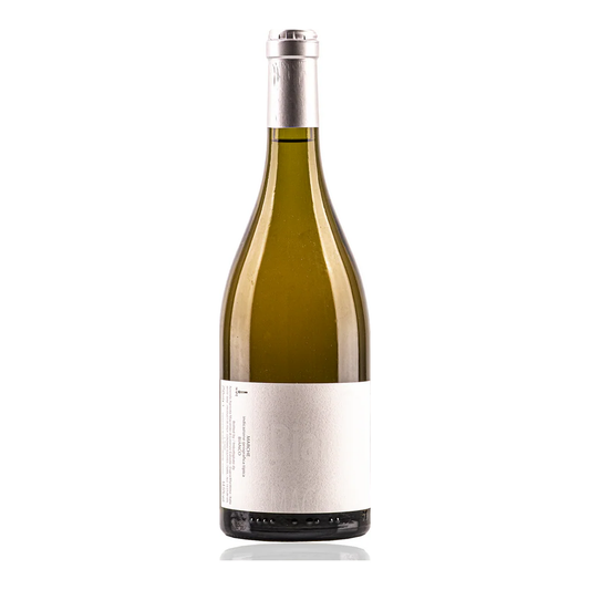 Macondo – Bianko 2021 – Marche Italy