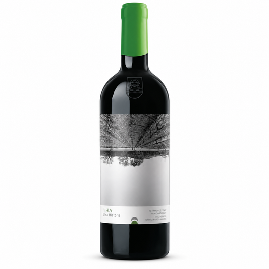Otazu – 1Ha. Una Historia Chardonnay 2021 – Vino de Pago Otazu Spain
