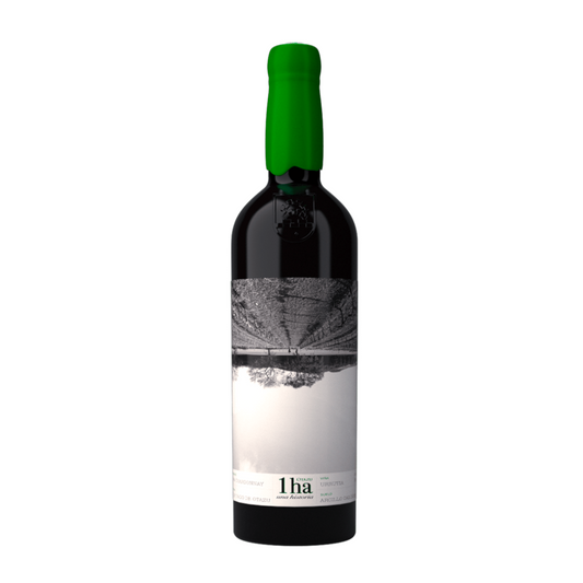 Bottle of Otazu 1Ha. Una Historia. Chardonnay 2020 from D.O.P. Pago de Otazu, Navarra, Spain
