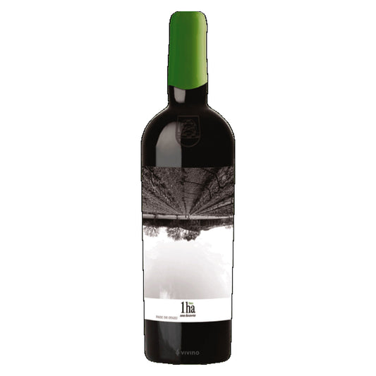 Otazu – 1Ha. Una Historia Chardonnay 2020 – Vino de Pago Otazu Spain